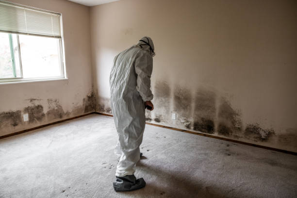 Best Mold Testing  in Concordia, MO